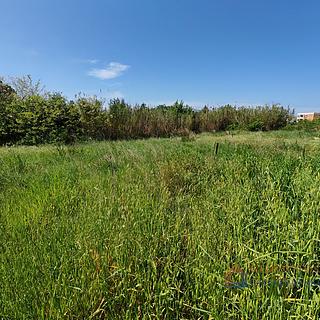 Prodej stavební parcely, 1403m²