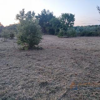 Prodej stavební parcely, 845m²