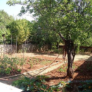 Prodej rodinného domu, 279m²