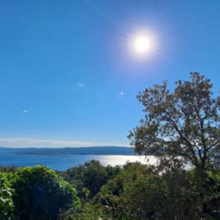 Prodej rodinného domu, 309m²