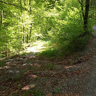 Prodej stavební parcely, 12600m²