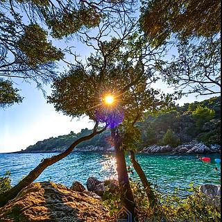 Prodej stavební parcely, 17200m²