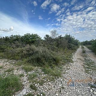 Prodej stavební parcely, 8000m²