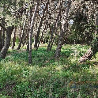 Prodej stavební parcely, 592m²