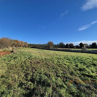 Prodej stavební parcely, 2383m²