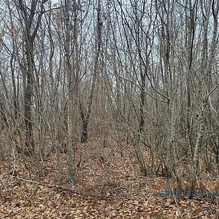 Prodej stavební parcely, 13520m²