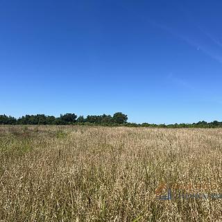 Prodej stavební parcely, 53691m²