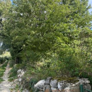 Prodej stavební parcely, 7834m²