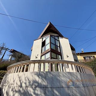 Pronájem rodinného domu, 334m²