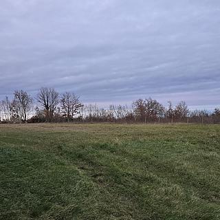 Prodej stavební parcely, 3102m²