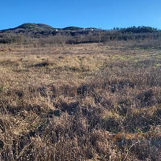 Prodej stavební parcely, 16849m²