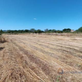 Prodej stavební parcely, 1000m²