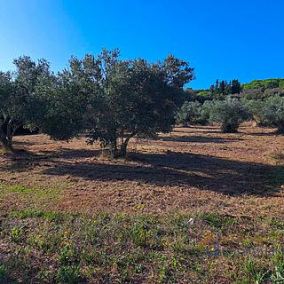 Prodej stavební parcely, 860m²