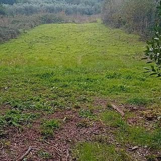 Prodej stavební parcely, 1024m²