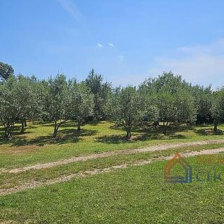 Prodej stavební parcely, 1000m²