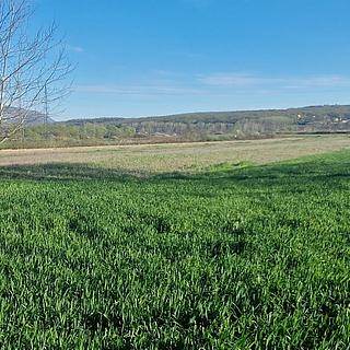 Prodej stavební parcely, 15580m²