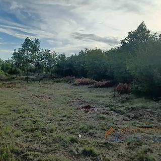 Prodej stavební parcely, 1295m²