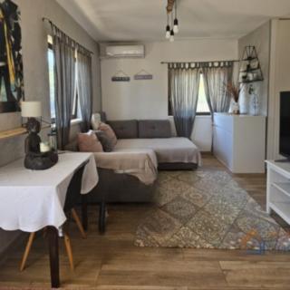 Prodej bytu 1+kk, garsoniery, 100m²