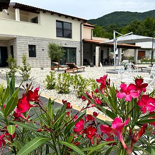 Prodej rodinného domu, 328m²