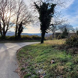 Prodej stavební parcely, 4438m²