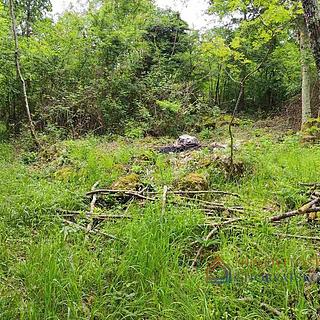 Prodej stavební parcely, 2700m²