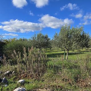 Prodej stavební parcely, 513m²