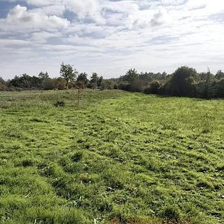 Prodej stavební parcely, 697m²