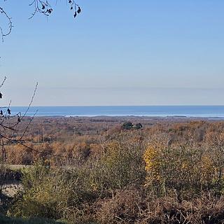 Prodej stavební parcely, 2185m²