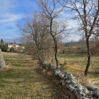 Prodej stavební parcely, 3700m²