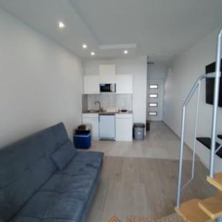 Prodej bytu 5+1 a více, 41m²