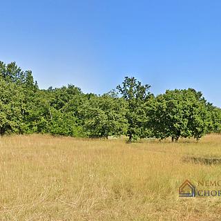 Prodej stavební parcely, 5380m²