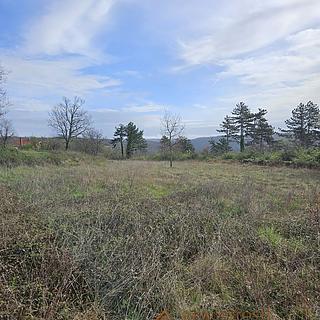 Prodej stavební parcely, 6600m²