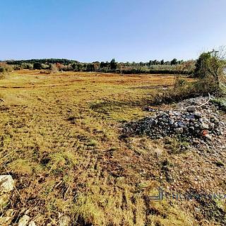 Prodej stavební parcely, 7100m²