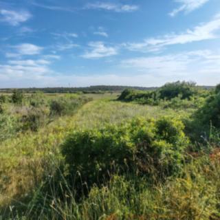 Prodej stavební parcely, 1616m²