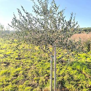 Prodej stavební parcely 1 300 m² v Chorvatsku