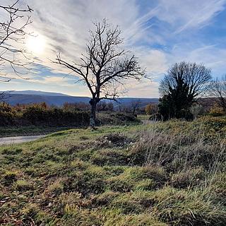 Prodej stavební parcely, 1481m²