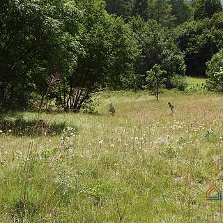 Prodej stavební parcely, 5021m²