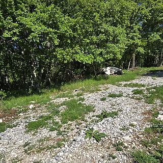 Prodej stavební parcely, 3454m²