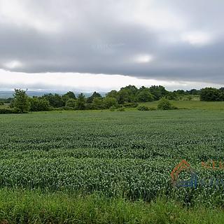Prodej stavební parcely, 3937m²