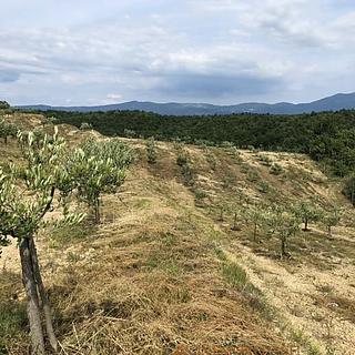 Prodej stavební parcely, 117535m²