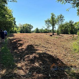 Prodej stavební parcely, 10097m²