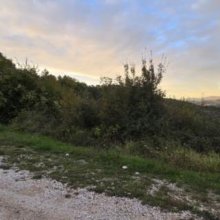 Prodej stavební parcely, 2500m²