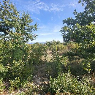 Prodej stavební parcely, 650m²