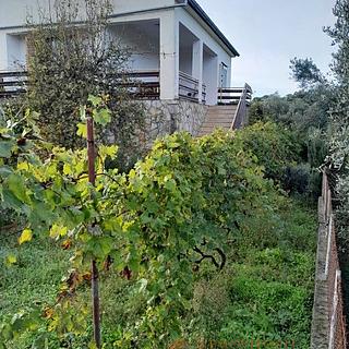 Prodej rodinného domu, 109m²