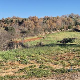 Prodej stavební parcely, 1285m²