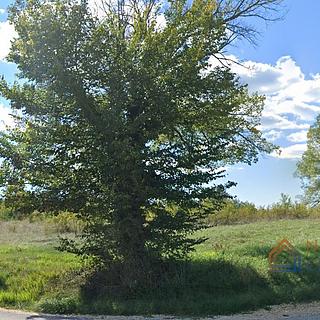 Prodej stavební parcely, 1410m²