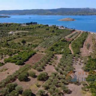 Prodej stavební parcely, 3143m²