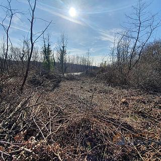 Prodej stavební parcely, 686m²