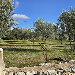 Prodej stavební parcely, 856m²