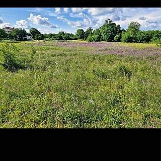 Prodej stavební parcely, 1933m²